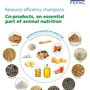Co-products, an essential part of animal nutrition