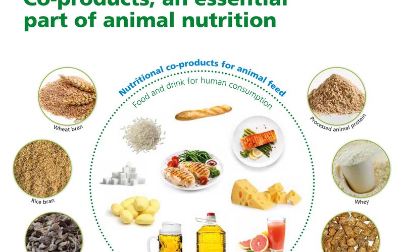 Co-products, an essential part of animal nutrition