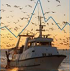 EU reports fishmeal and fish oil market