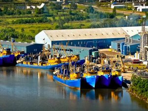 MSC recommendation for Gulf of Mexico menhaden fishery