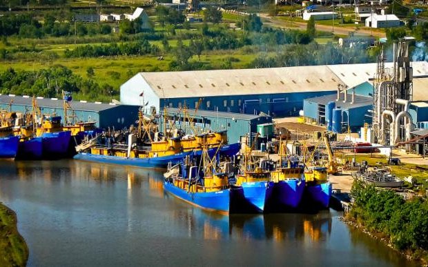MSC recommendation for Gulf of Mexico menhaden fishery