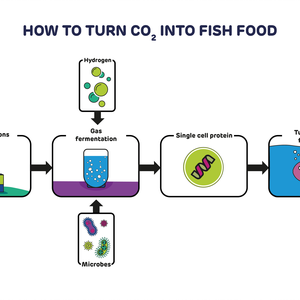 New carbon capture technology to produce protein for aquafeed