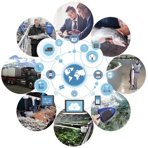 OxyGuard develops a blockchain-based software tool 