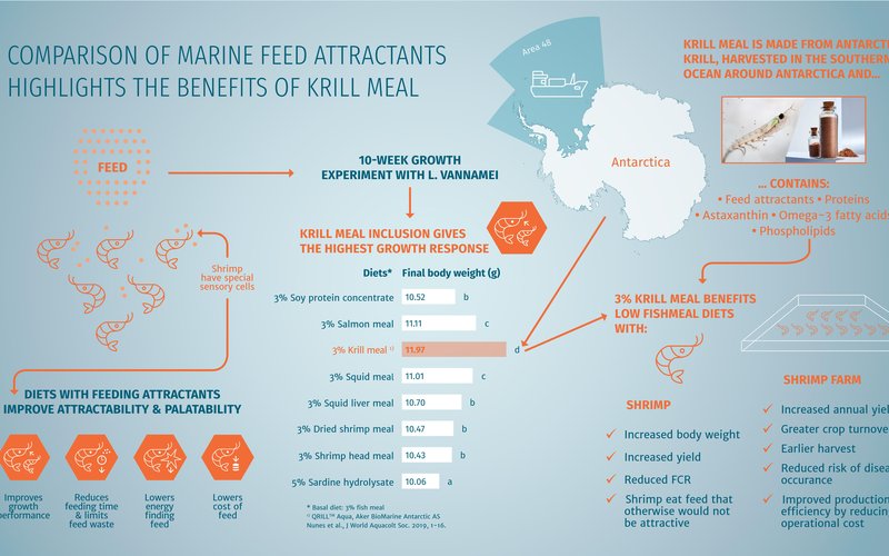 Which is the most effective enhancer in diets for whiteleg shrimp?