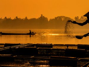 The feed industry should be driver of change in aquaculture