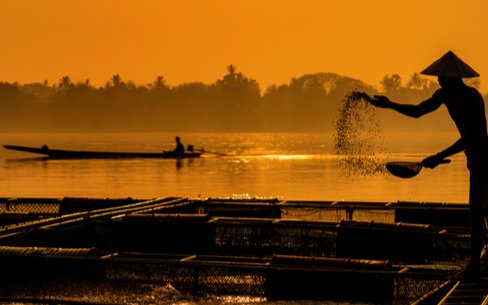 The feed industry should be driver of change in aquaculture