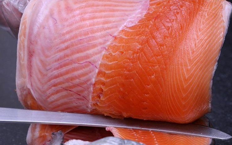 Salmon Group adopts BioMar's algae-based feed