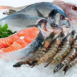 New international aquaculture trade database