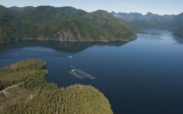 Canadian liberals commit to end salmon net pen