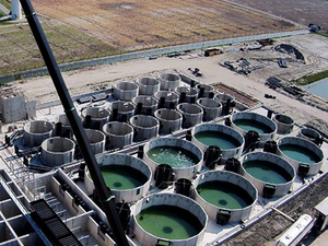 RAS to disrupt salmon farming over the next decade