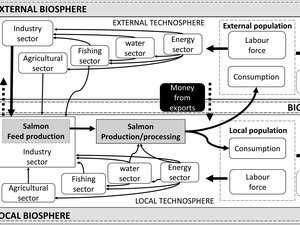 Is the large-scale use of alternative feeds in salmon sustainable?