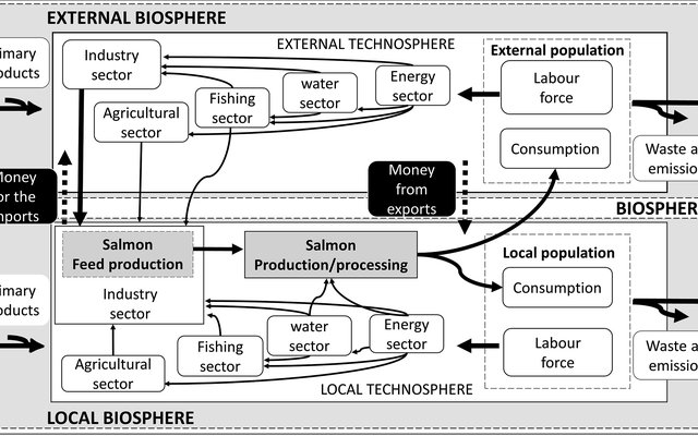 Is the large-scale use of alternative feeds in salmon sustainable?