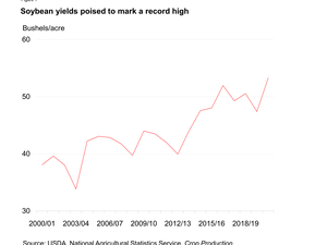 USDA reports high soybean yields