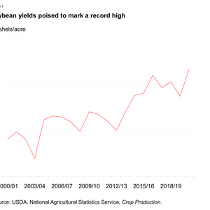 USDA reports high soybean yields