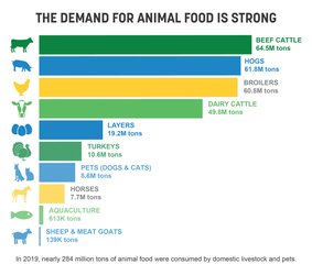 IFEEDER reports strong demand for animal feed despite COVID-19