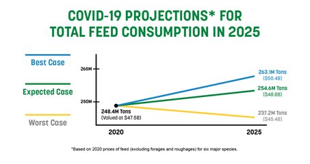 IFEEDER reports strong demand for animal feed despite COVID-19