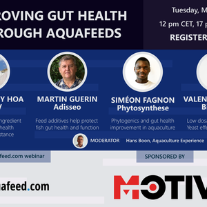 Registration open for Improving Gut Health through Aquafeeds webinar