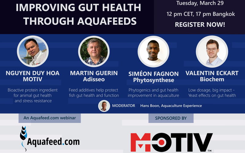 Registration open for Improving Gut Health through Aquafeeds webinar