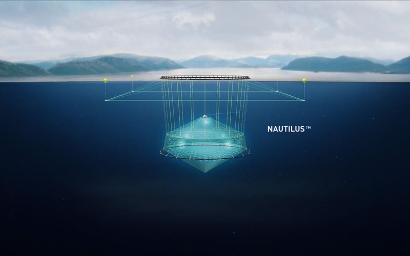 6826e2b0d09776dd84302831_nautilus