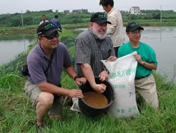 China aquafeeds shift towards plant proteins