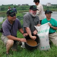 China aquafeeds shift towards plant proteins