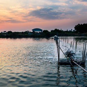 AdobeStock_525220622