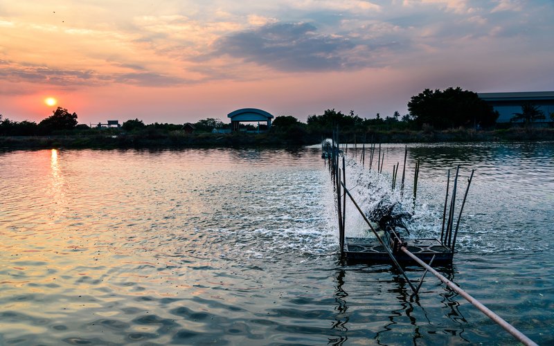 AdobeStock_525220622
