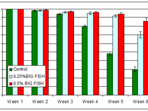 Host-Targeted Antibody Has Positive Impact on Tilapia Survival and Performance