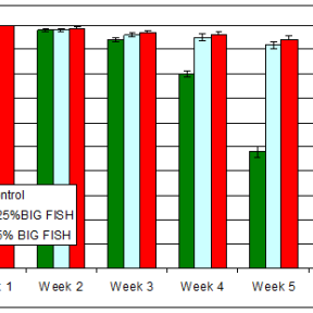 Host-Targeted Antibody Has Positive Impact on Tilapia Survival and Performance