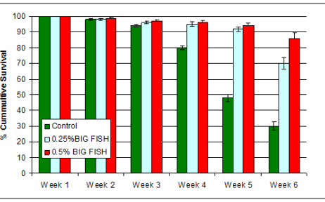 Host-Targeted Antibody Has Positive Impact on Tilapia Survival and Performance