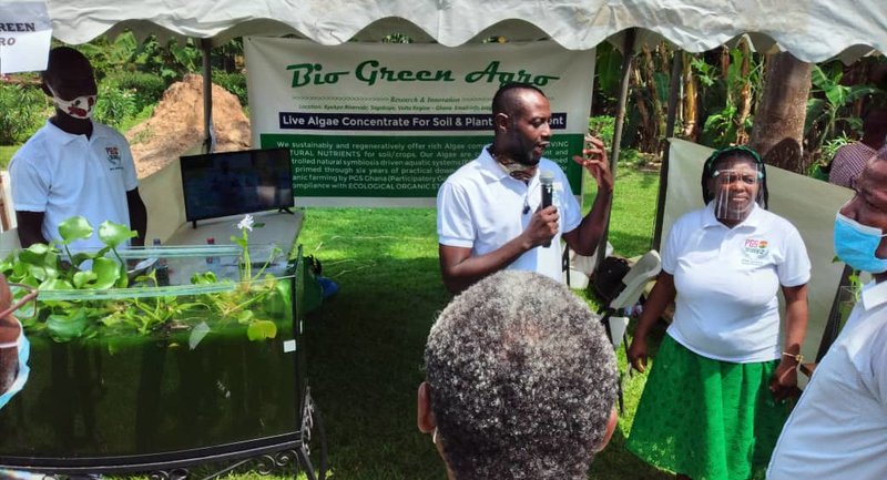 Bio Green Agro. Grows Algae in a Tilapia Environment