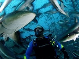 Open Blue Sea Farms' Panama acquisition creates world’s largest open ocean aquaculture operation