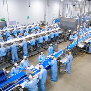 C.Vale - linha de produção peixe