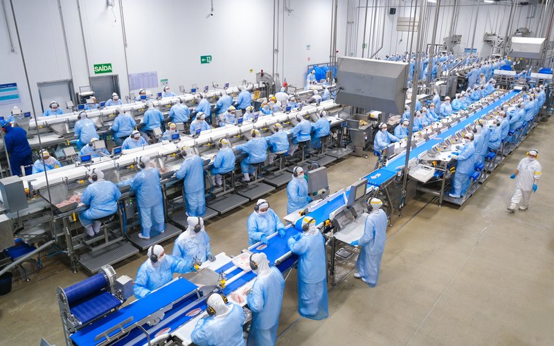 C.Vale - linha de produção peixe