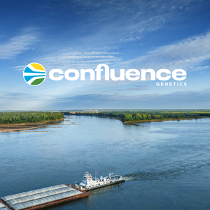 COnfluence