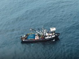 Campaña de investigación 2020 - Barco Pesquero Atlantic I – NIRSA S.A. © PNUD Ecuador - 2_1