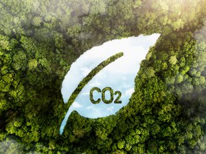 Carbon footprint_Image by Freepik