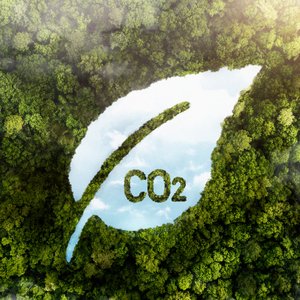 Carbon footprint_Image by Freepik