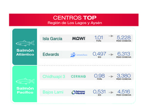 Centro Top Los Lagos y Aysen Todos juntos