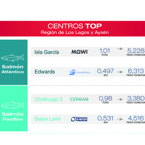 Centro Top Los Lagos y Aysen Todos juntos