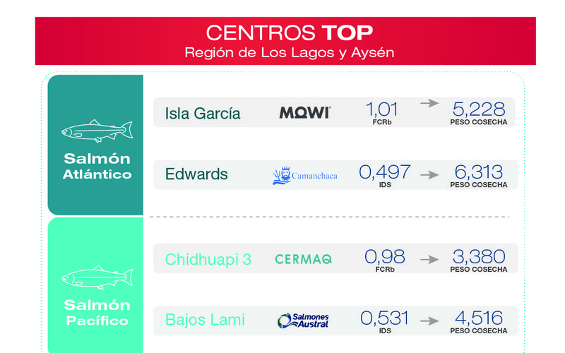 Centro Top Los Lagos y Aysen Todos juntos