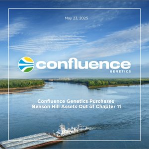 Confluence-Release