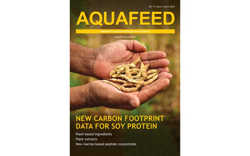Cover English