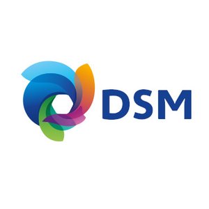 DSM2