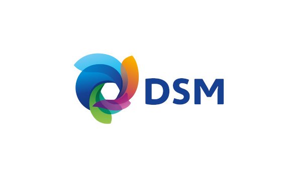 DSM2