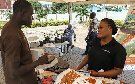 Efua 1
