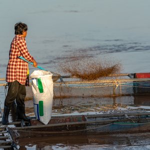 Farmer_shutterstock_2210585649