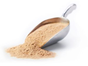 FeedKind-powder-scoop-1030x688