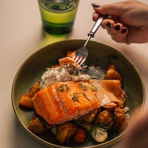Finnish-RainbowTrout