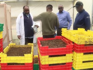 Fish-feed-1-1200x630